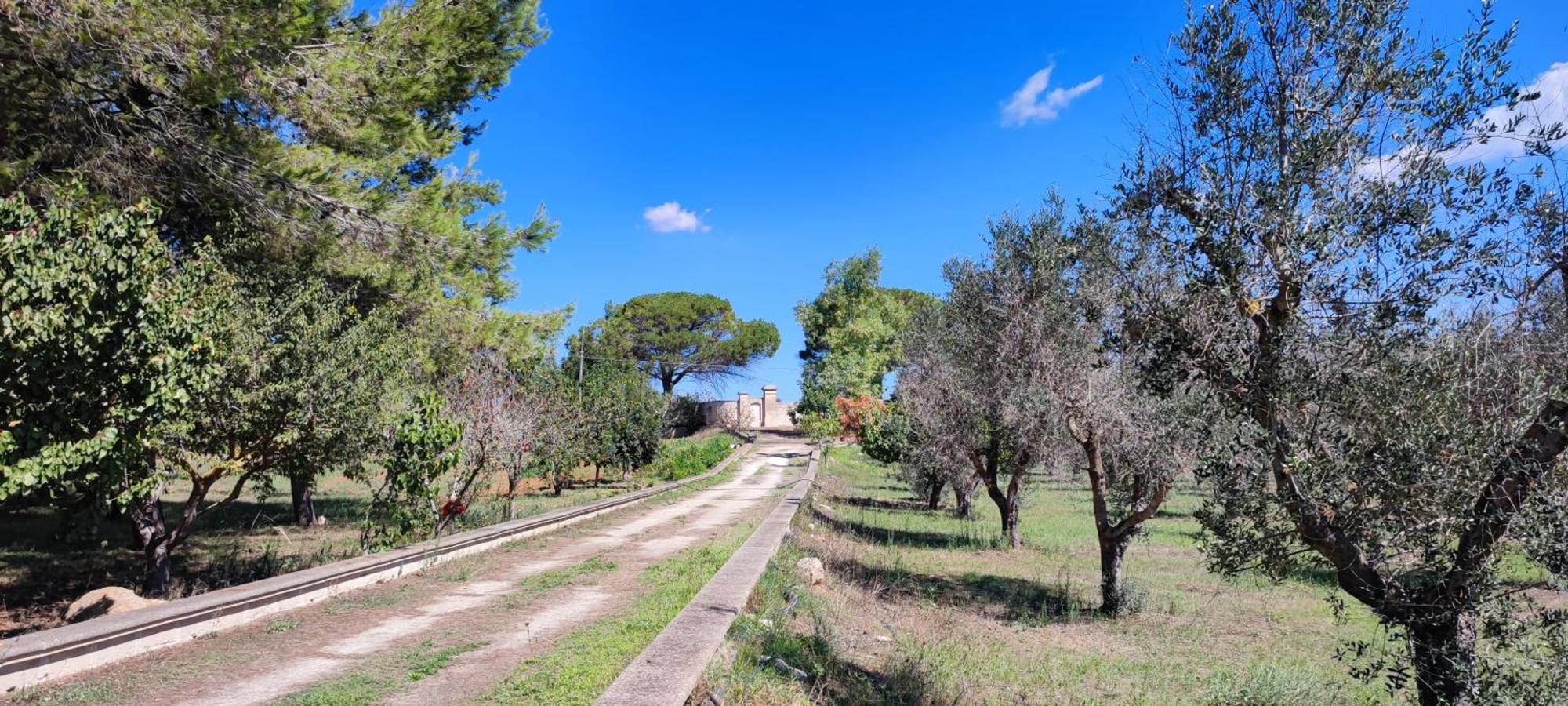 Dimora Donna Rita - * Lecce