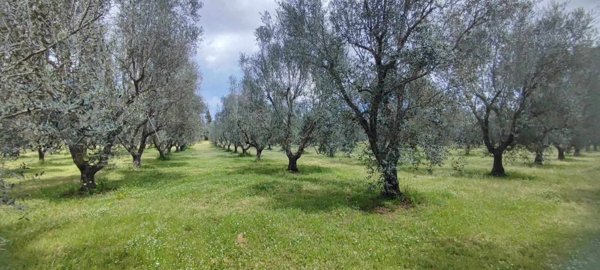 Bed & Breakfast Dimora Donna Rita - *