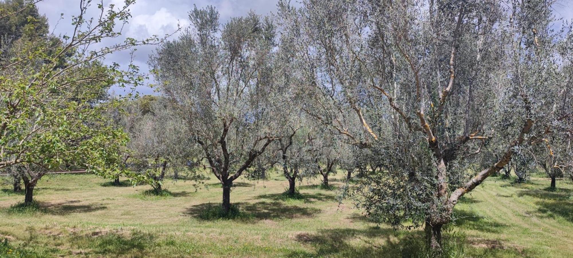 Bed & Breakfast Dimora Donna Rita -
